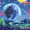 1200x750_EXIT-STARSEEDS-Flight (1)
